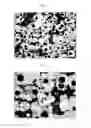 Fig. 04 - Heat resistant spheroidal graphite cast iron, method of manufacturing the same and engine exhaust system part including the same