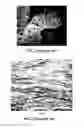 Fig. 04 - Process for unitary graphene layer or graphene single crystal