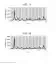 Fig. 03 - Manufacturing method of phthalocyanine crystal by milling crystal transformation for at least 1,000 hours