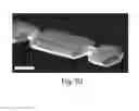 Fig. 09 - Controlled growth of nanoscale wires