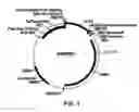 Fig. 02 - Compositions and Methods for Functionalizing and Linking Materials