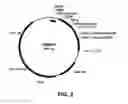 Fig. 03 - Compositions and Methods for Functionalizing and Linking Materials