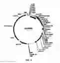 Fig. 05 - Compositions and Methods for Functionalizing and Linking Materials