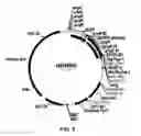 Fig. 06 - Compositions and Methods for Functionalizing and Linking Materials