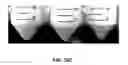 Fig. 19 - Compositions and Methods for Functionalizing and Linking Materials