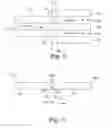 Fig. 07 - Method and arrangement for fiber flow equalization in a refiner