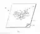 Fig. 02 - Web substrate having optimized emboss design