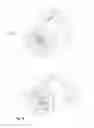 Fig. 08 - TUB SPOUT ASSEMBLY
