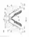 Fig. 17 - Window shade system using adjustable angle gear