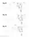 Fig. 08 - PIPE CENTERING AND WASHING APPARATUS