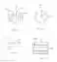 Fig. 06 - Longitudinal positioning tool for a rod string