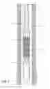 Fig. 02 - STATIC GAS SEPARATOR FOR DOWNHOLE ELECTRIC SUBMERSIBLE PUMP