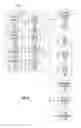 Fig. 09 - Fluid identification via pressure
