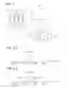 Fig. 02 - Exhaust purification apparatus for internal combustion engine