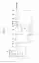 Fig. 02 - Method for regenerating lean NOx trap of exhaust purification system provided with lean NOx trap and selective catalytic reduction catalyst and exhaust purification system