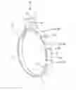 Fig. 01 - BAND
