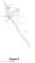 Fig. 02 - BAND