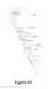 Fig. 11 - BAND