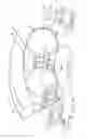 Fig. 17 - ROLLING BEARING