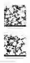 Fig. 03 - LIGHTWEIGHT PISTON PIN AND METHOD FOR MANUFACTURING THE LIGHTWEIGHT PISTON PIN
