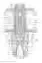 Fig. 01 - ELECTROMAGNETIC CONTROL VALVE
