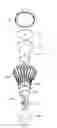 Fig. 14 - Lighting device