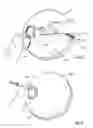 Fig. 15 - Package and light device