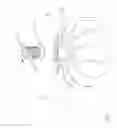 Fig. 08 - Fixing Structure for Lamp Holder