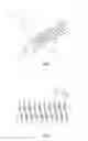 Fig. 04 - Spiral louver shaped condenser with multilayer spatial structure