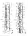 Fig. 04 - Firearm barrel fluting of varied depth and/or width