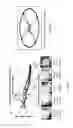 Fig. 11 - Apparatus and methods for one or more wavelength swept lasers and the detection of signals thereof