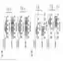 Fig. 41 - Apparatus and methods for one or more wavelength swept lasers and the detection of signals thereof