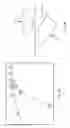 Fig. 10 - Method and apparatus for autonomous navigation speed at intersections