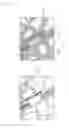 Fig. 15 - Information processing apparatus, information processing method, and program