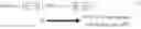 Fig. 02 - Reduction of non-linearity errors in automotive pressure sensors