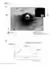 Fig. 12 - ASSEMBLING APPARATUS AND ASSEMBLING METHOD, APPARATUS FOR MANUFACTURING MICROSCOPIC OBJECT ASSEMBLY STRUCTURE, APPARATUS FOR ASSEMBLING AND REMOVING MICROORGANISM, APPARATUS FOR DETECTING DETECTION TARGET SUBSTANCE, APPARATUS FOR SEPARATING SEPARATION TARGET SUBSTANCE, AND APPARATUS FOR INTRODUCING INTRODUCTION TARGET SUBSTANCE