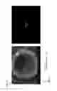 Fig. 15 - ASSEMBLING APPARATUS AND ASSEMBLING METHOD, APPARATUS FOR MANUFACTURING MICROSCOPIC OBJECT ASSEMBLY STRUCTURE, APPARATUS FOR ASSEMBLING AND REMOVING MICROORGANISM, APPARATUS FOR DETECTING DETECTION TARGET SUBSTANCE, APPARATUS FOR SEPARATING SEPARATION TARGET SUBSTANCE, AND APPARATUS FOR INTRODUCING INTRODUCTION TARGET SUBSTANCE