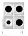 Fig. 31 - ASSEMBLING APPARATUS AND ASSEMBLING METHOD, APPARATUS FOR MANUFACTURING MICROSCOPIC OBJECT ASSEMBLY STRUCTURE, APPARATUS FOR ASSEMBLING AND REMOVING MICROORGANISM, APPARATUS FOR DETECTING DETECTION TARGET SUBSTANCE, APPARATUS FOR SEPARATING SEPARATION TARGET SUBSTANCE, AND APPARATUS FOR INTRODUCING INTRODUCTION TARGET SUBSTANCE