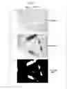 Fig. 09 - SPECIMEN EVALUATION METHOD