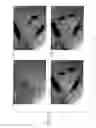 Fig. 15 - SPECIMEN EVALUATION METHOD