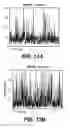 Fig. 14 - Local effective permeability measurements for complex porous structures