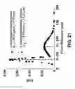 Fig. 30 - Local effective permeability measurements for complex porous structures