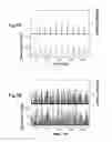 Fig. 04 - Transient absorption measurement method and transient absorption measurement apparatus