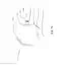 Fig. 28 - System for conducting the identification of bacteria in biological samples