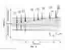 Fig. 05 - Two-phase approach to fourier transform ion mobility time-of-flight mass spectrometry