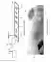 Fig. 02 - Minimum redundancy spacing functions for surface acoustic wave (SAW) sensor devices
