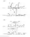 Fig. 19 - Method of and apparatus for formulating multicomponent drug