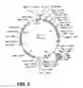 Fig. 03 - Stabilizied bioactive peptides and methods of identification, synthesis and use