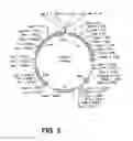 Fig. 04 - Stabilizied bioactive peptides and methods of identification, synthesis and use