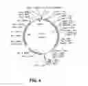 Fig. 05 - Stabilizied bioactive peptides and methods of identification, synthesis and use